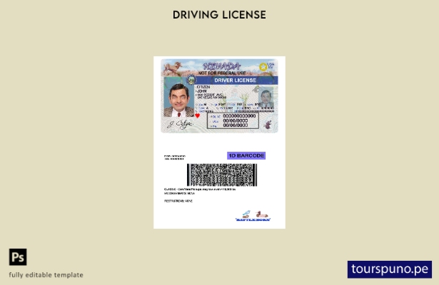 Plantilla de licencia de conducir de Nevada de EE. UU. lista para imprimir
